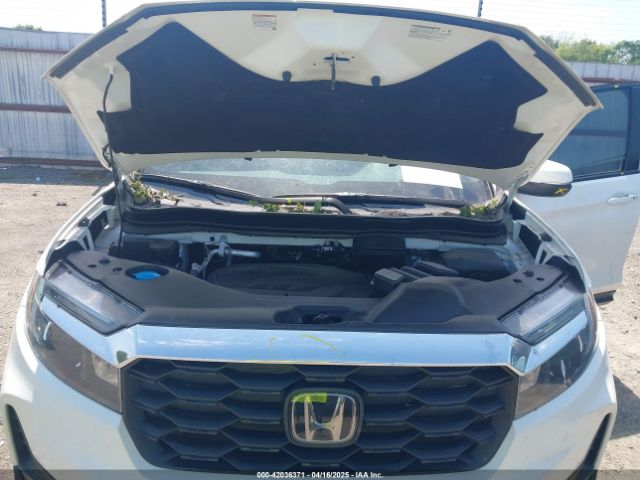 5FNYF8H57PB006499 Honda Passport Awd Ex-l