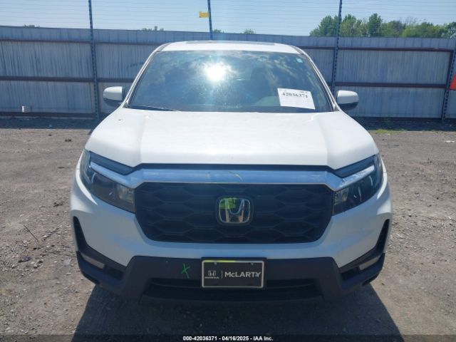 5FNYF8H57PB006499 Honda Passport Awd Ex-l