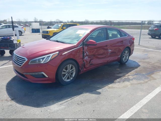 5NPE24AF5FH146951 Hyundai SONATA SE