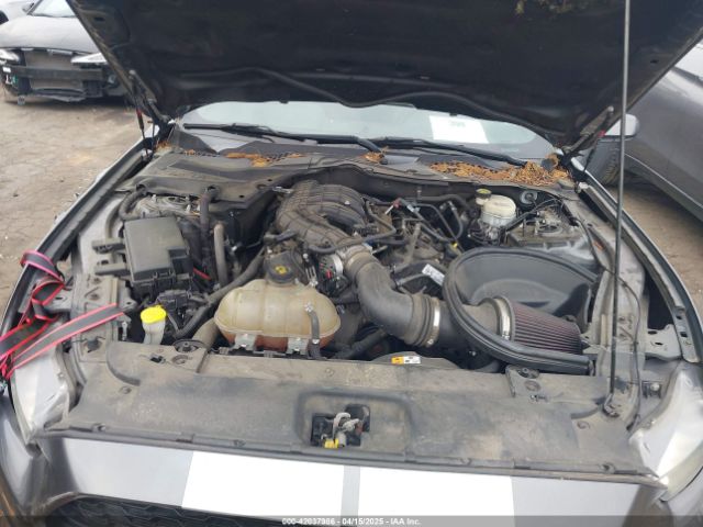 1FA6P8AM7G5303236 Ford Mustang V6