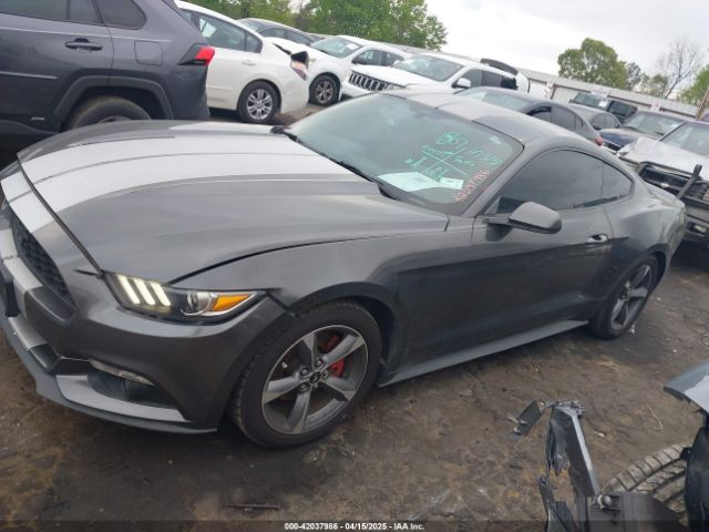 1FA6P8AM7G5303236 Ford Mustang V6