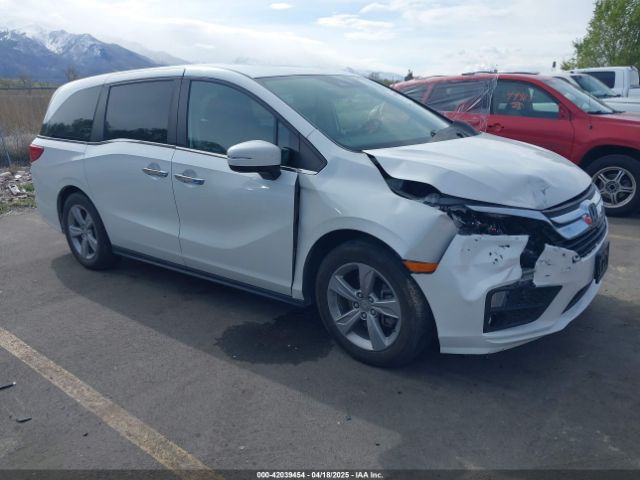 2020 HONDA ODYSSEY 5FNRL6H76LB025333