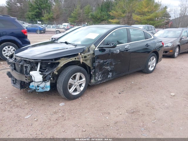 1G1ZC5ST5LF104271 Chevrolet Malibu Fwd 1fl