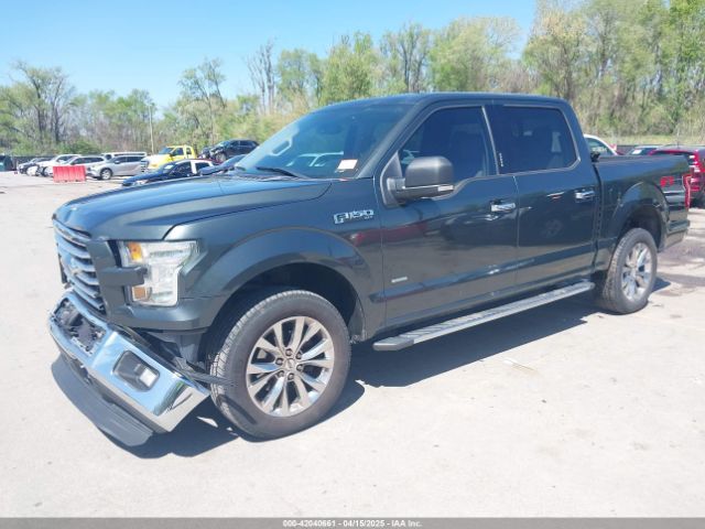 1FTEW1EG7FKD89569 Ford F-150 Xlt