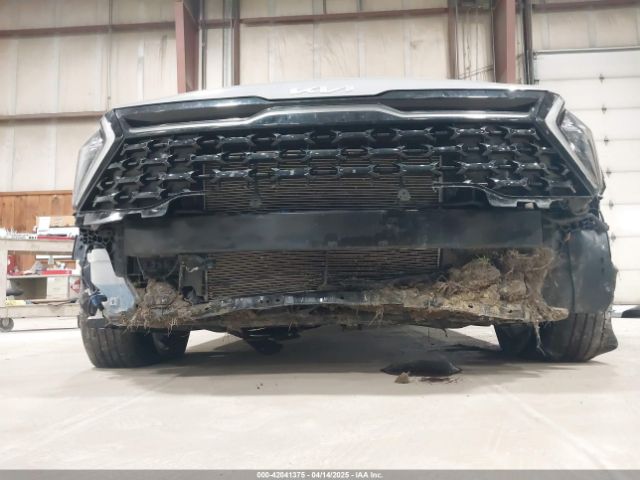 5XYK6CAF8PG111802 KIA Sportage X-line