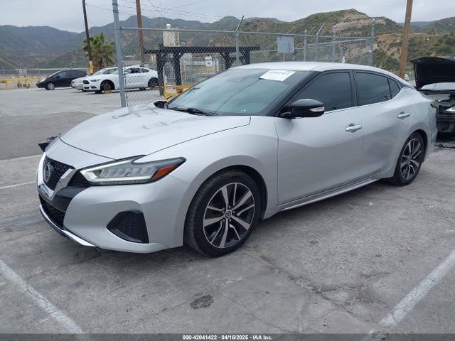 1N4AA6CVXLC380646 Nissan Maxima Sv Xtronic Cvt