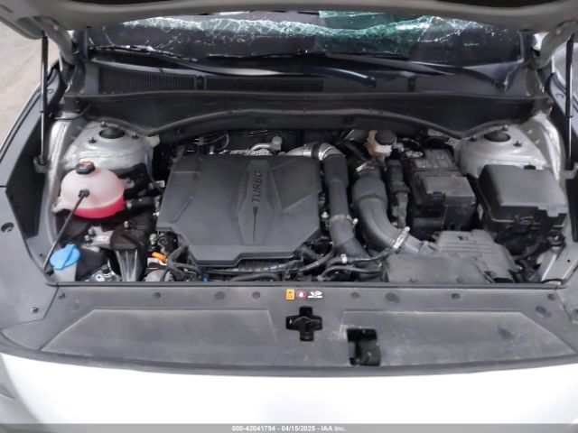 5NMS5DAL1PH589922 Hyundai Santa Fe Calligraphy