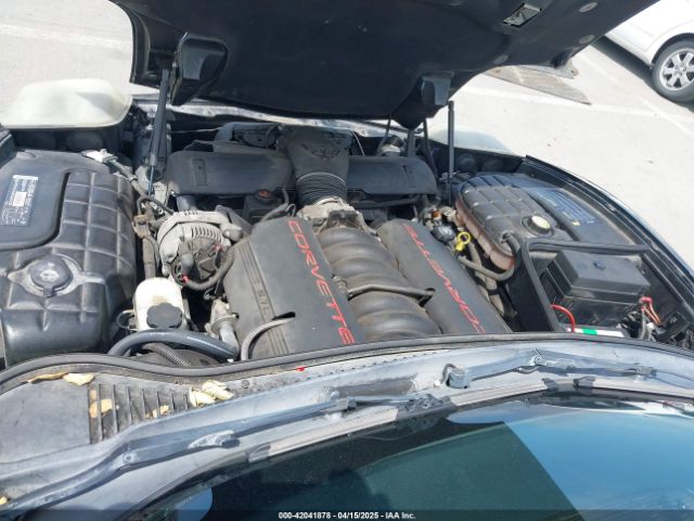 2002 CHEVROLET CORVETTE 1G1YY22G525105391 Photo 9