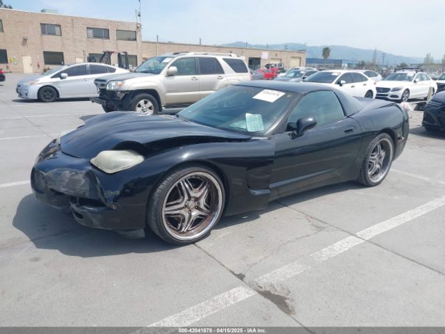 2002 CHEVROLET CORVETTE 1G1YY22G525105391 Photo 1