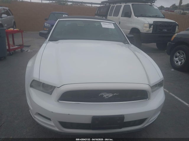 1ZVBP8EM8E5333696 Ford Mustang V6