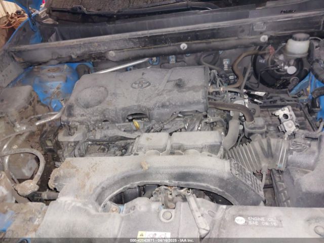 JTMP1RFV1KD030090 Toyota Rav4 Xle/xle Premium