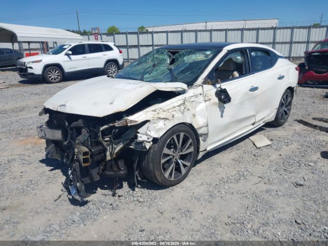 1N4AA6AP8GC901518 Nissan Maxima 3.5 Platinum