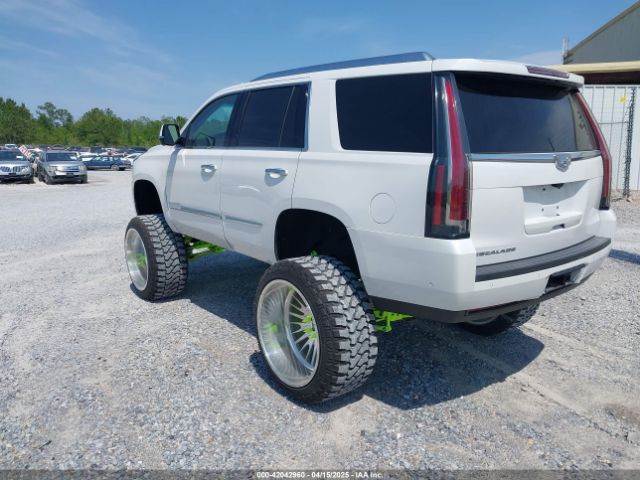 1GYS3BKJ6LR124477 Cadillac Escalade 2wd Luxury