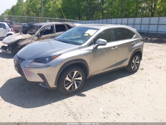 JTJBARBZ7J2151880 Lexus NX 300