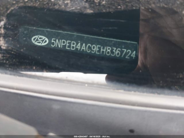 5NPEB4AC9EH836724 Hyundai SONATA GLS
