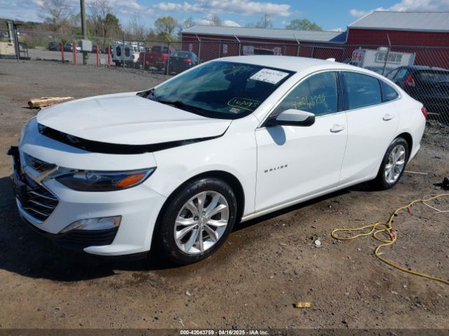 2019 CHEVROLET MALIBU 1G1ZD5ST2KF167095 Photo 1