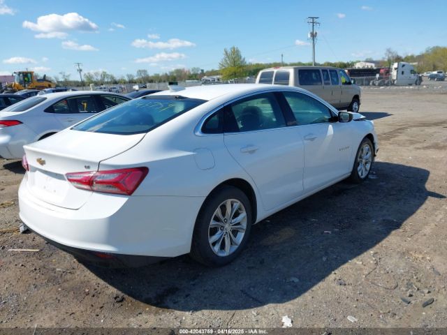 2019 CHEVROLET MALIBU 1G1ZD5ST2KF167095 Photo 3