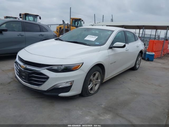 2024 CHEVROLET MALIBU 1G1ZB5ST6RF107983 Photo 1