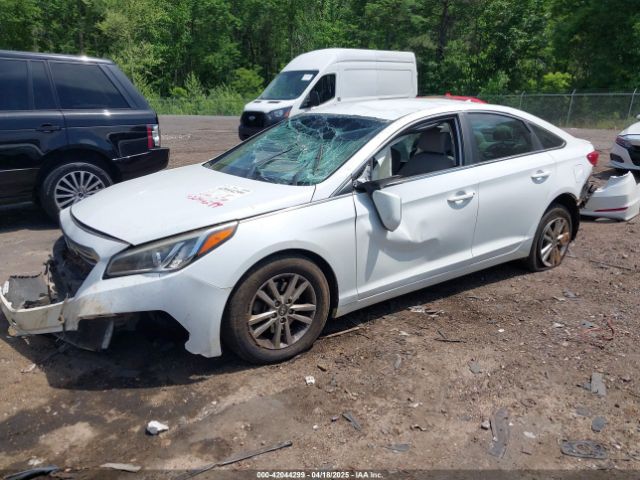 5NPE24AFXGH378561 Hyundai SONATA SE