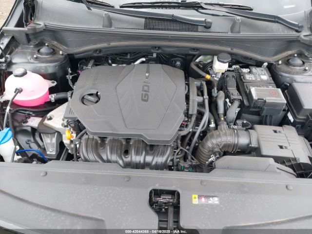 5XYK3CDFXRG226795 KIA Sportage Ex