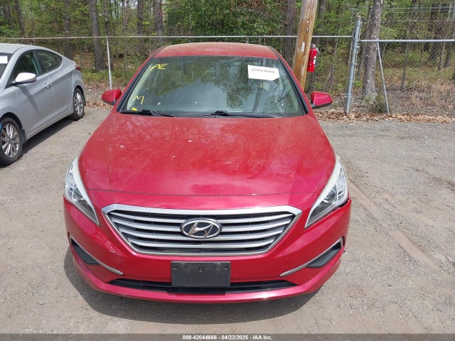 5NPE24AF7HH502559 Hyundai SONATA SE