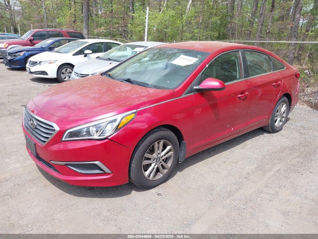 5NPE24AF7HH502559 Hyundai SONATA SE