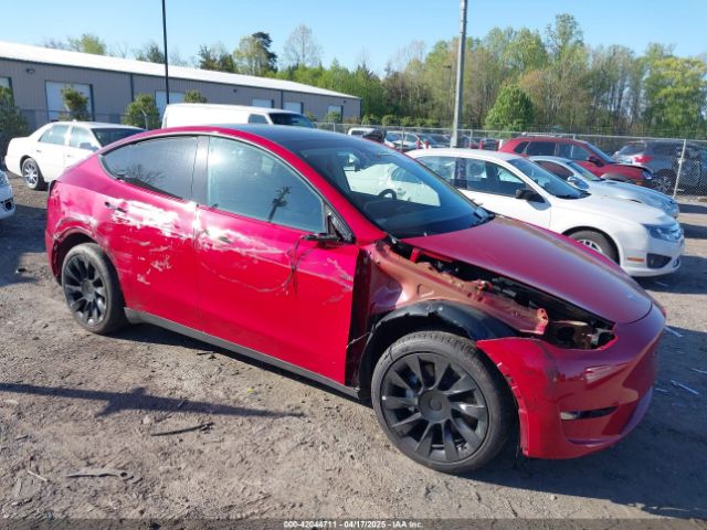 2023 TESLA MODEL Y 7SAYGDEE0PF760969