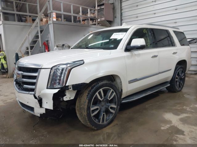1GYS4MKJ0FR566796 Cadillac Escalade Luxury