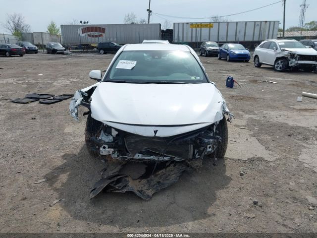 4T1C11AK7MU515359 Toyota CAMRY LE