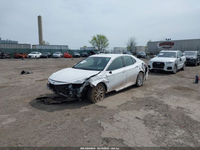 4T1C11AK7MU515359 Toyota CAMRY LE