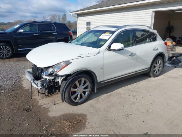 JN1BJ0RR6HM402572 Infiniti QX50