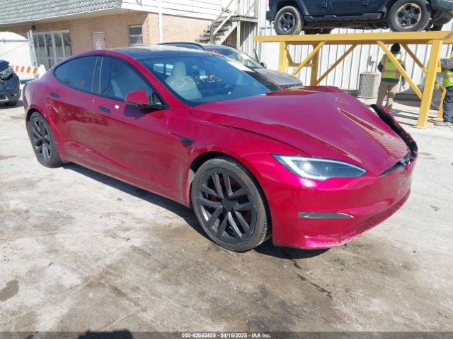 2023 TESLA MODEL S 5YJSA1E61PF525637