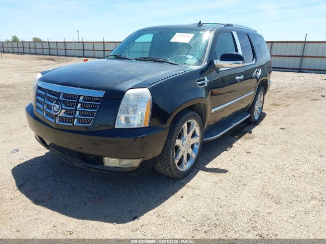 2008 CADILLAC ESCALADE 1GYEC63858R217384 Photo 1