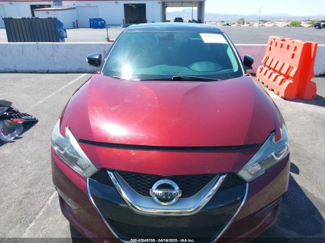1N4AA6AP4HC456664 Nissan Maxima 3.5 Platinum