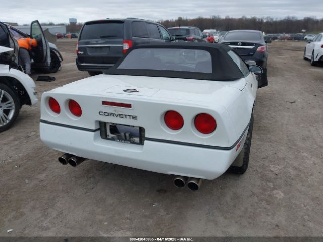 1990 CHEVROLET CORVETTE 1G1YY338XL5116126 Photo 3