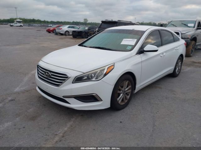 5NPE24AF1GH352379 Hyundai SONATA SE