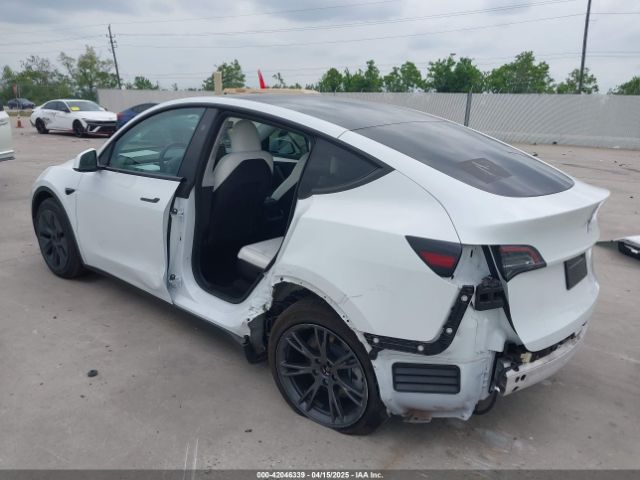 2024 TESLA MODEL Y 7SAYGAEE0RF163905 Photo 2