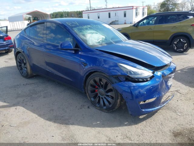 2021 TESLA MODEL Y 5YJYGDEF4MF230487