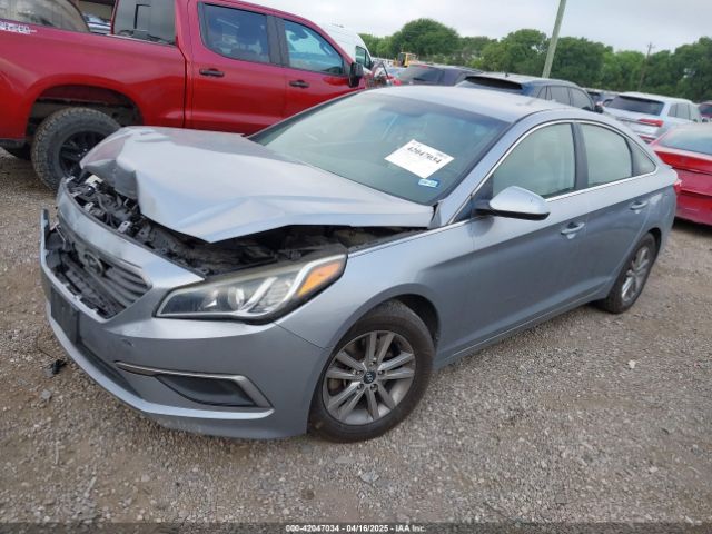 5NPE24AF5GH375681 Hyundai SONATA SE
