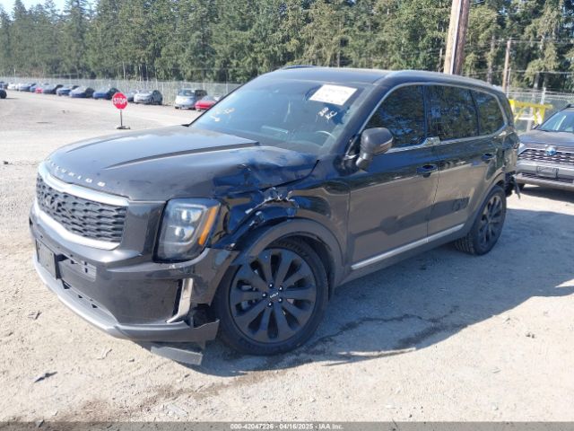 5XYP34HC0NG243269 KIA Telluride Ex