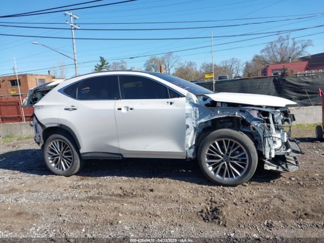 JTJHKCEZ0R2038512 Lexus Nx 350h Luxury