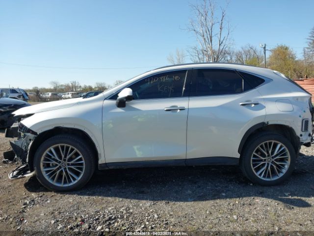 JTJHKCEZ0R2038512 Lexus Nx 350h Luxury