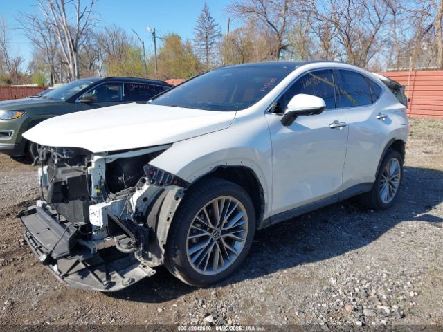 JTJHKCEZ0R2038512 Lexus Nx 350h Luxury