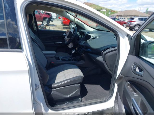 2019 FORD ESCAPE 1FMCU9GD9KUA95020 Photo 4