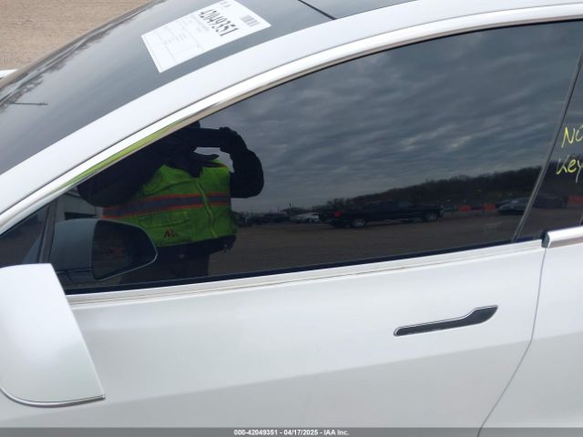 2019 TESLA MODEL 3 5YJ3E1EB1KF388052 Photo 5