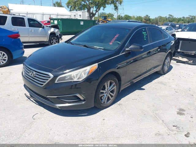 5NPE24AF7GH313389 Hyundai SONATA SE