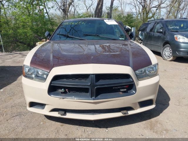 2C3CDXAT6EH367494 Dodge Charger Police