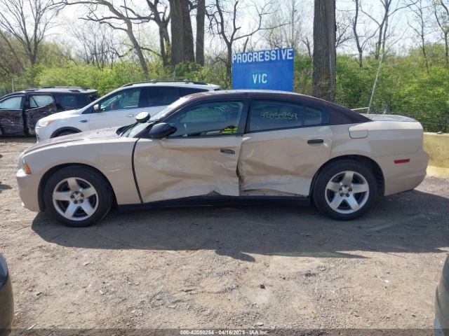 2C3CDXAT6EH367494 Dodge Charger Police