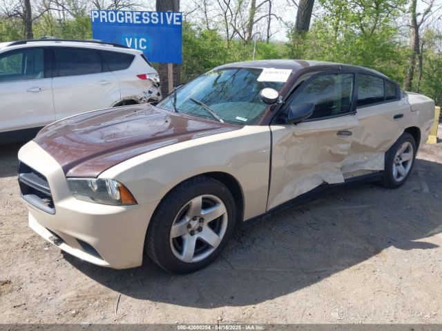 2C3CDXAT6EH367494 Dodge Charger Police