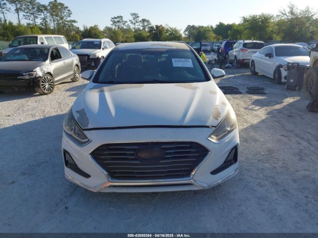 5NPE24AF9JH666806 Hyundai SONATA SE